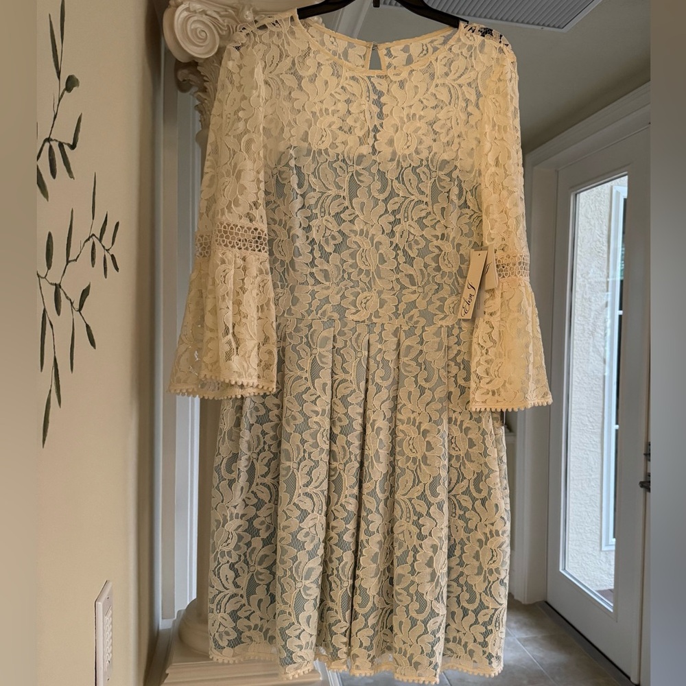Eliza J Cream Lace Midi Dress - Picture 3 of 3